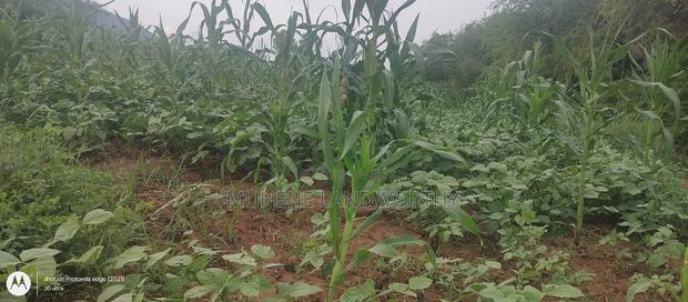 Embu County, Kiambere 6 Acres Agricultural Farmland