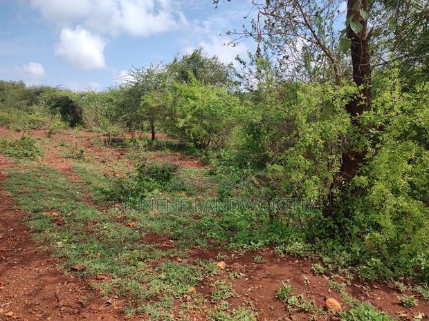 Embu,Mariari Agricultural Land Near the Road