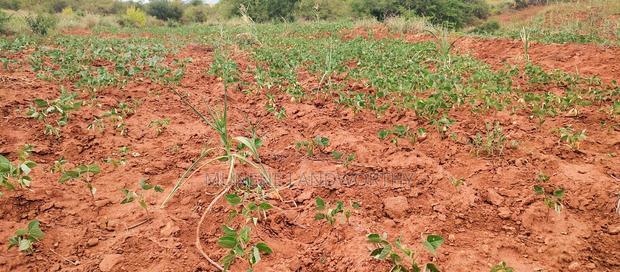 Embu County,Gatete 11 Acres Agricultural Farmland