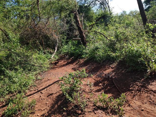 Embu, Kiambere Grazing Agricultural Land Next to the River