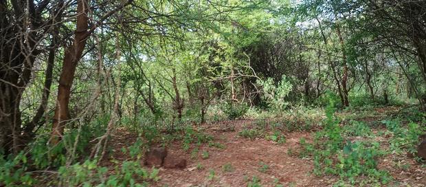 Embu County, Mariari 4.2 Acres Agricultural Farmland