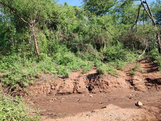Embu, Kiambere Grazing Agricultural Land Next to the River