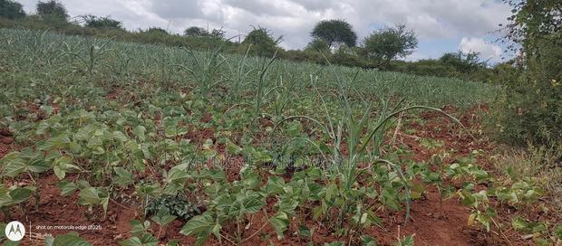 Embu County,Riachina Mbeere 2 Acres Agricultural Farm.
