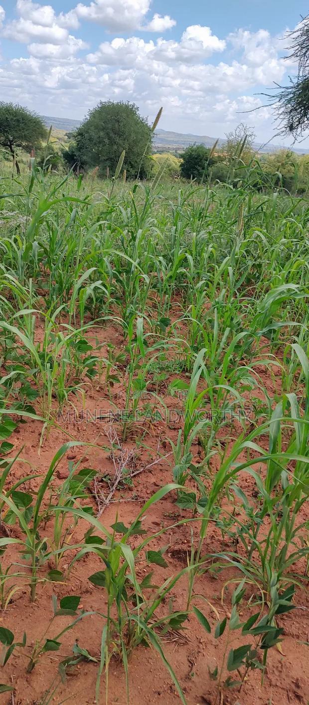 Embu County, Kiambere 10 Agricultural Farmland.