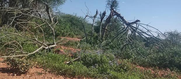 Embu County, Mutuobare 1.5 Acres Near Tarmac at Kes