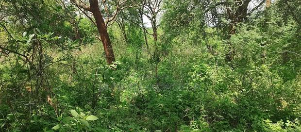 Embu County,Gitaru 10 Acres Agricultural Farmland