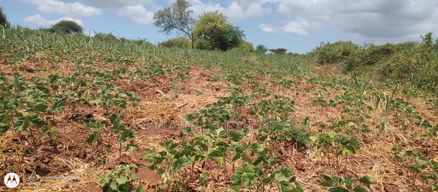 Embu County,Riachina Mbeere 2 Acres Agricultural Farm.