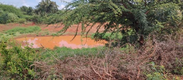 Embu,Mariari Agricultural Land Near the Road