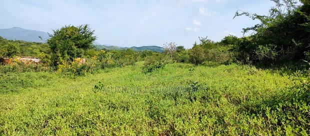 Embu , Mariari 5.8 Acres Agricultural Farmland With River