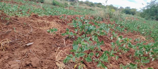 Embu County,Gatete 11 Acres Agricultural Farmland
