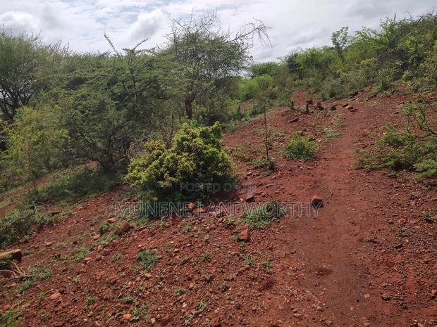 Embu,Mariari Agricultural Land Near the Road