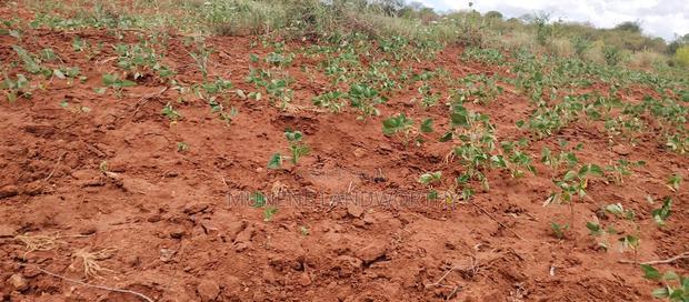 Embu County,Gatete 11 Acres Agricultural Farmland