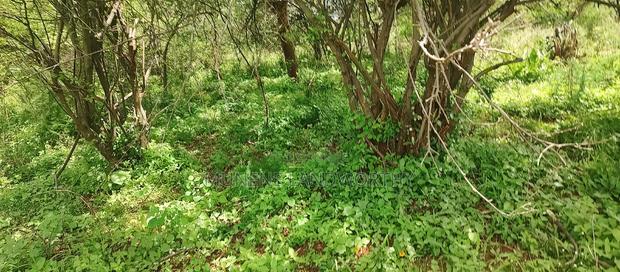 Embu County,Gitaru 10 Acres Agricultural Farmland