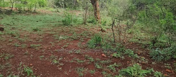 Embu,Mariari Agricultural Land Near the Road