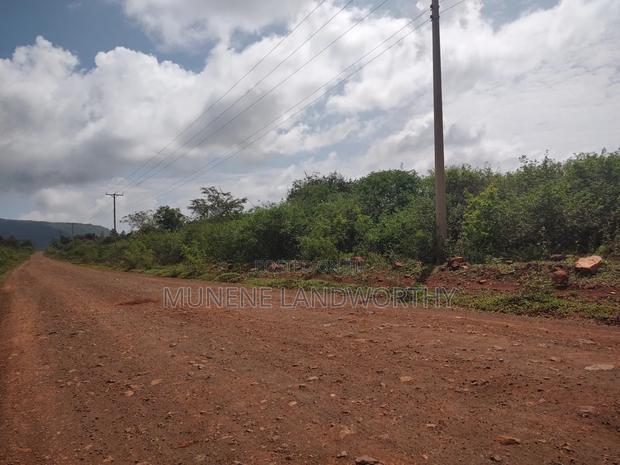 Embu,Mariari Agricultural Land Near the Road
