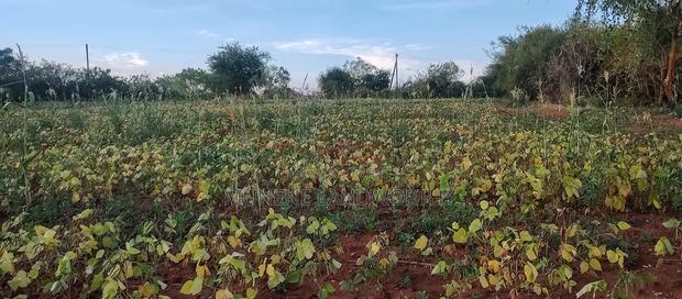 Embu County,Seven Folks 6.4arces Along Tarmac