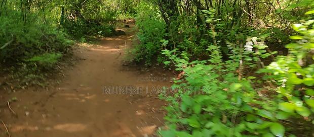 Embu, Kiambere Grazing Agricultural Land Next to the River