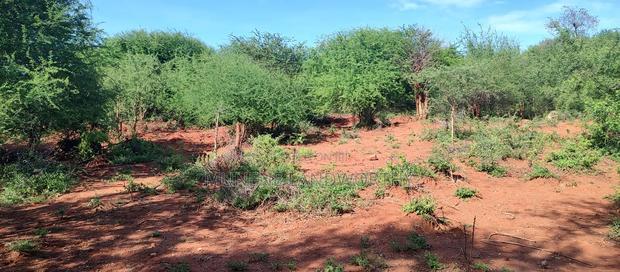 Embu County, Kiambere Agricultural 4acres Land