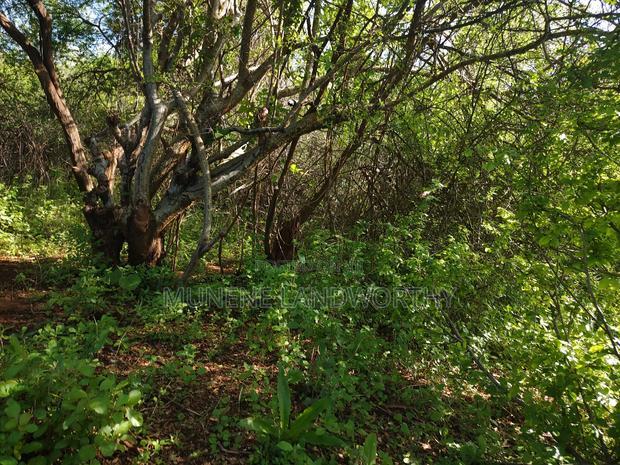 Embu County, Kiambere Agricultural 4acres Land
