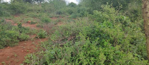 Embu , Mariari Kiambere 20 Agricultural Farmland