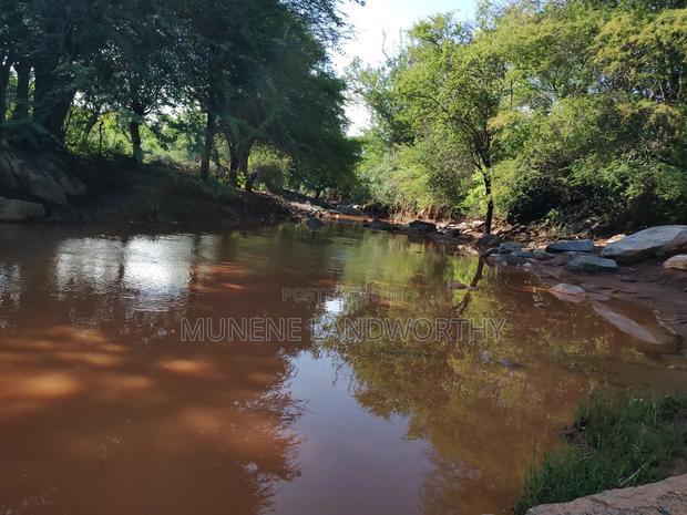 Embu, Kiambere Grazing Agricultural Land Next to the River