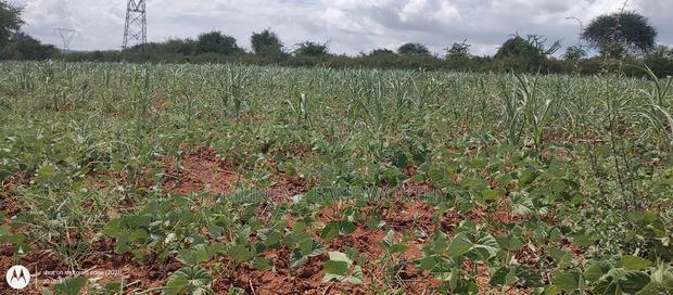 Embu County,Riachina Mbeere 2 Acres Agricultural Farm.