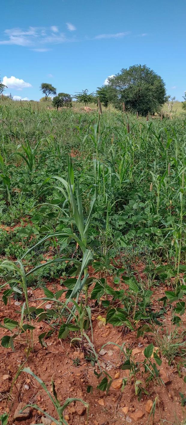 Embu County, Kiambere 10 Agricultural Farmland.