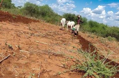 Embu County,Karura Mbeere South 18 Acres Farmland
