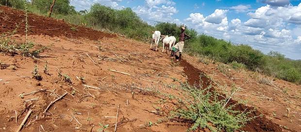 Embu County,Karura Mbeere South 18 Acres Farmland