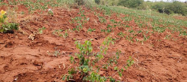 Embu County,Gatete 11 Acres Agricultural Farmland