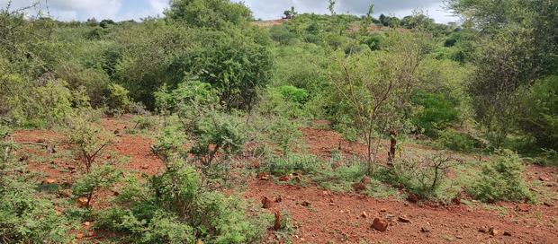 Embu,Mariari Agricultural Land Near the Road