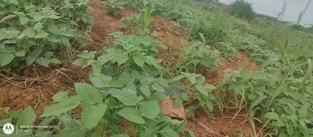 Embu County, Kiambere 6 Acres Agricultural Farmland
