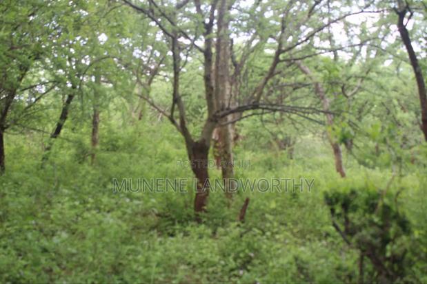 Embu , Mariari Kiambere 20 Agricultural Farmland