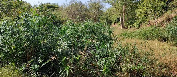 Embu , Mariari 5.8 Acres Agricultural Farmland With River