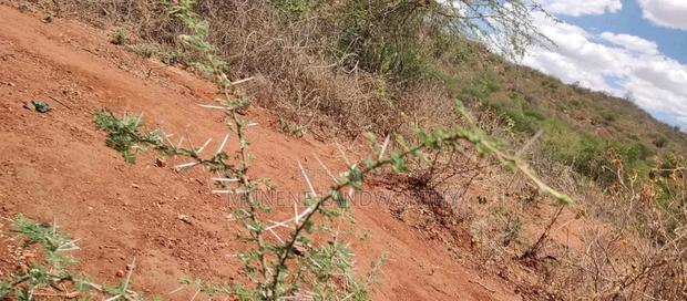 Embu,Mbeere 17 Acres Agricultural Farmland