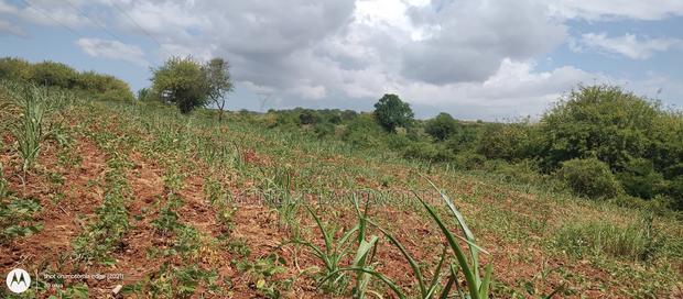 Embu County,Riachina Mbeere 2 Acres Agricultural Farm.