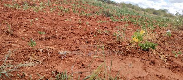 Embu County,Gatete 11 Acres Agricultural Farmland