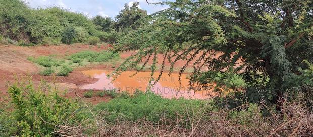 Embu,Mariari Agricultural Land Near the Road