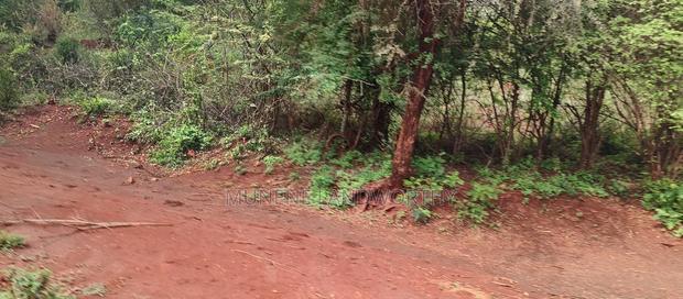 Embu,Mariari Agricultural Land Near the Road
