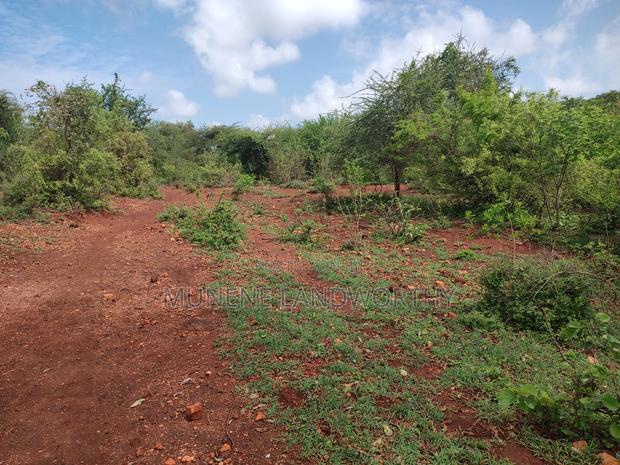 Embu,Mariari Agricultural Land Near the Road