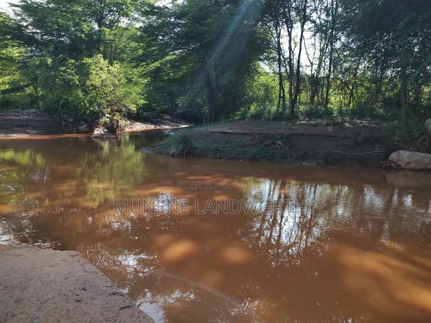 Embu, Kiambere Grazing Agricultural Land Next to the River