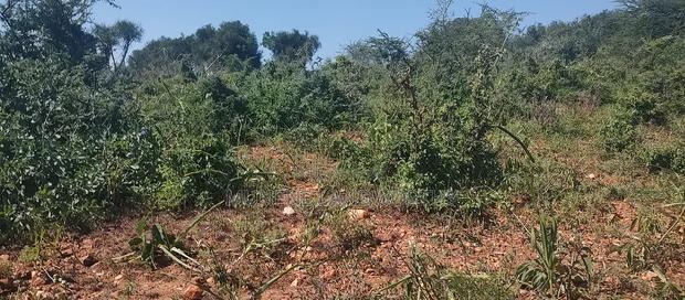 Embu County, Mutuobare 1.5 Acres Near Tarmac at Kes