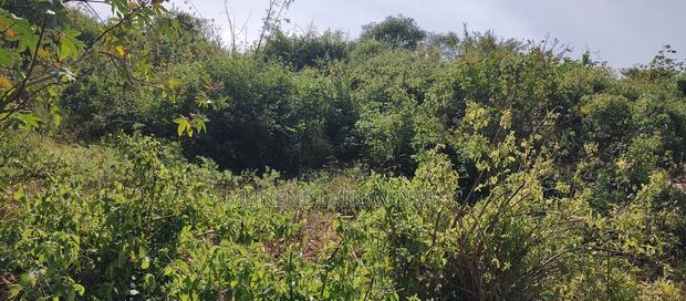 Embu ,Kiambere 13.5 Acres Agricultural Farmland.
