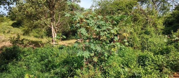 Embu , Mariari 5.8 Acres Agricultural Farmland With River