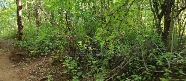 Embu, Kiambere Grazing Agricultural Land Next to the River