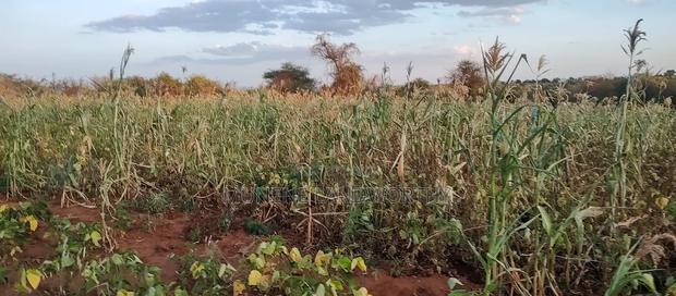 Embu County,Seven Folks 6.4arces Along Tarmac