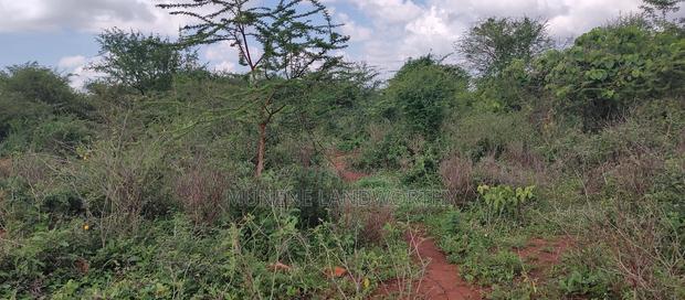 Embu , Mariari Kiambere 20 Agricultural Farmland