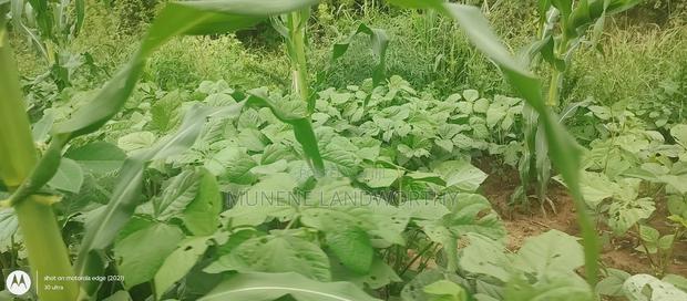 Embu County, Kiambere 6 Acres Agricultural Farmland