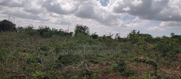 Embu , Mariari Kiambere 20 Agricultural Farmland