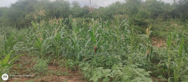 Embu County, Kiambere 6 Acres Agricultural Farmland